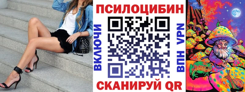 omg зеркало  Раменское  Псилоцибиновые грибы Psilocybe 