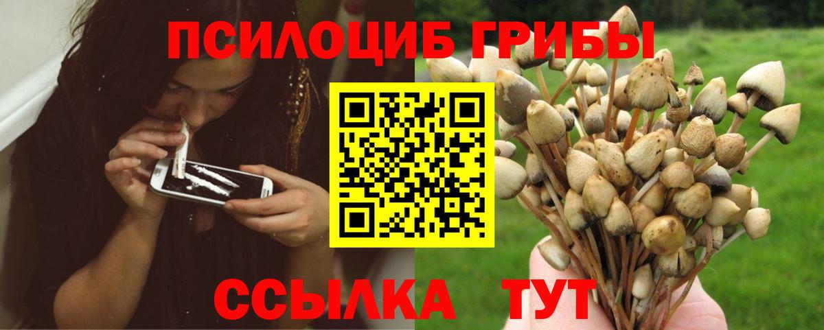 Псилоцибиновые грибы прущие грибы Раменское
